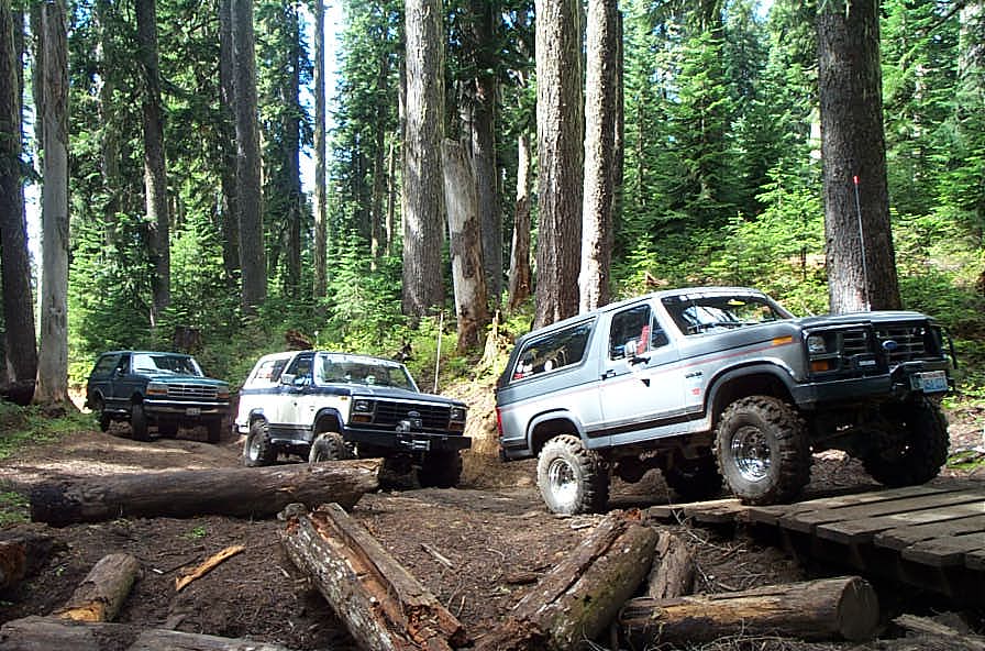 Three Ford Broncos off-roading on a forest trail; lifted gray Bronco crosses a log bridge in front
