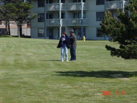 1996 Ford Bronco - A man and a woman stand on a lawn in front of a building, with a fire hydrant visible in the background.
