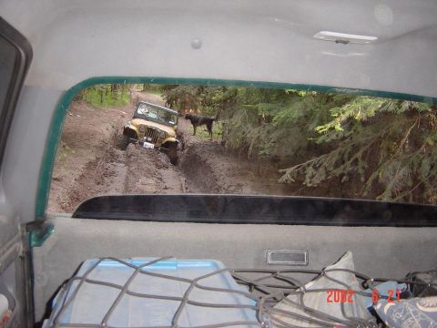 1996 Ford Bronco - A yellow Jeep Wrangler navigates a muddy trail, observed from the interior of another vehicle, with a dog watching from the side.