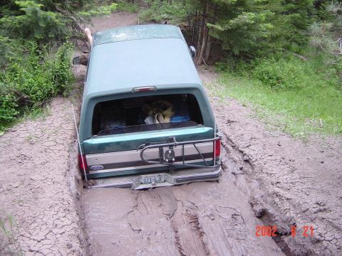1996 Ford Bronco - dragging my way out