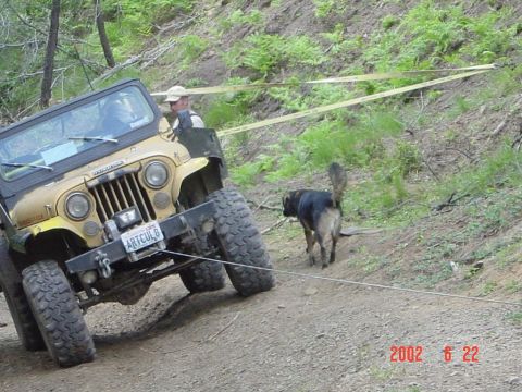 1996 Ford Bronco - advanced winching 101