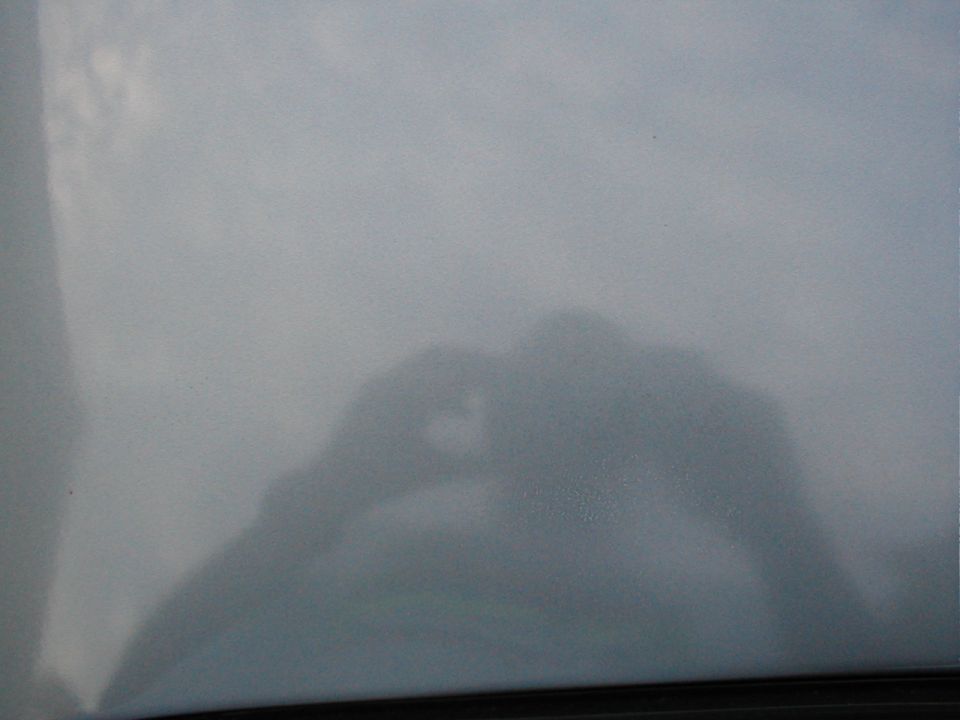 Roof shot, showing area of thin clear coat.....too much waxing?
