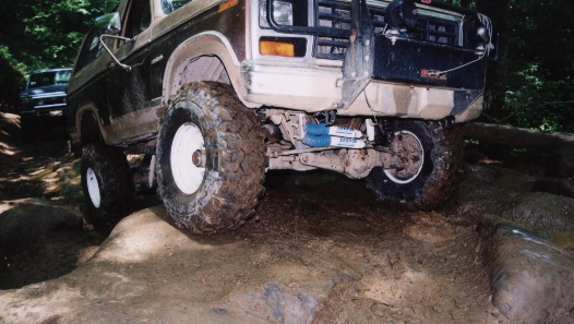 Brown Bull stretches his legs a little.