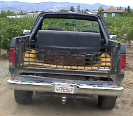 1985 Ford Bronco photo