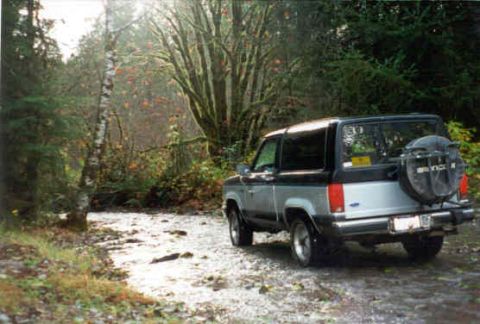 1989 Ford Bronco II photo