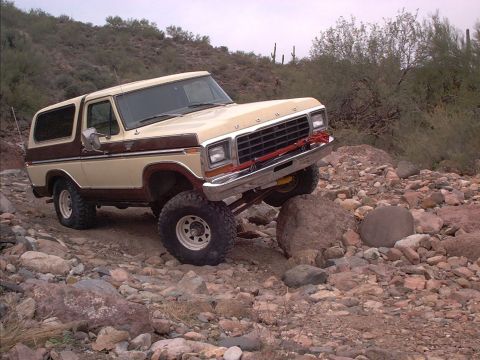 1979 Ford Bronco - Still posing
