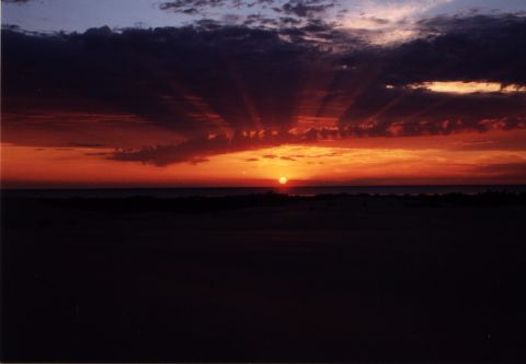 1995 Ford Bronco - Silver Lake Sunset