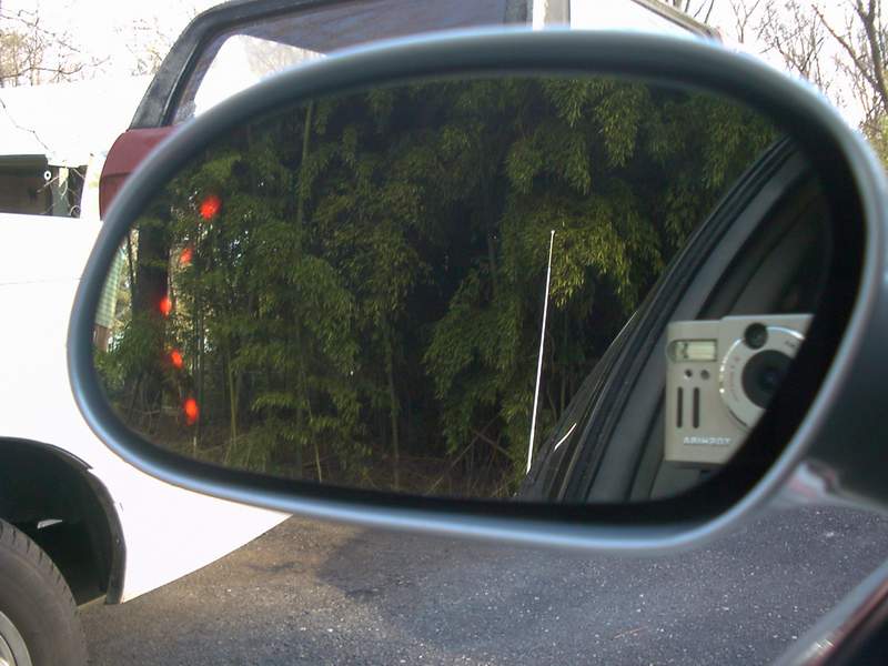 Side mirror reflecting a silver camera and green bamboo, with a white vehicle visible beside it