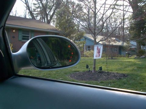 1997 Mercury Sable - Signal Mirror - Right