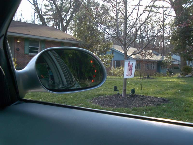 Silver driver-side mirror seen through car window, with suburban houses, lawn, and a dog garden flag in background.