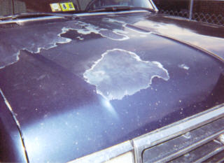 1990 Ford F-150 - Damn clearcoating is peeling off my truck, maybe its about time I get it painted.