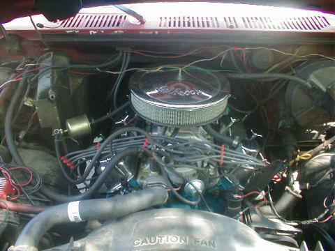 1982 Ford Bronco photo