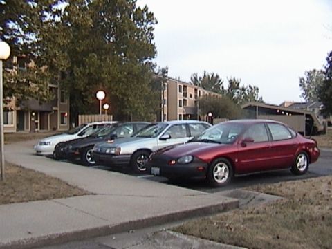 1998 Ford Taurus - Bulls in a row