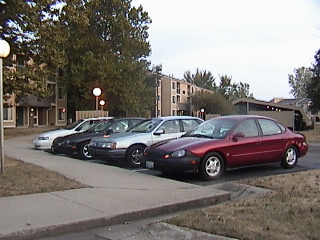 Bulls in a row