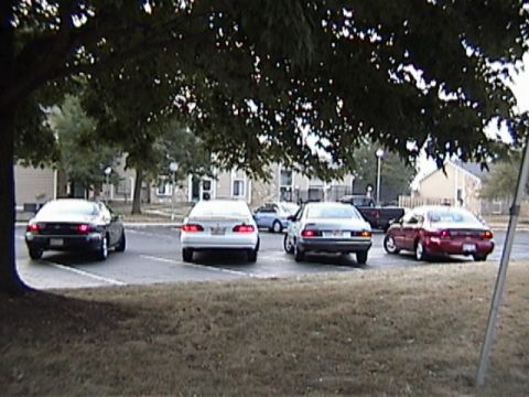 1998 Ford Taurus - Multiple sedans are parked in a lot, with trees overhead and buildings in the distance.