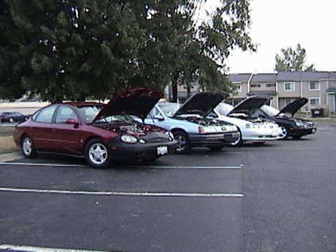 1998 Ford Taurus - Several cars, including a maroon Ford Taurus, are parked in a lot with their hoods open.