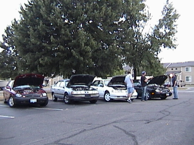 Bull salute w/drivers