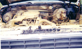 1981 Ford F-150 photo