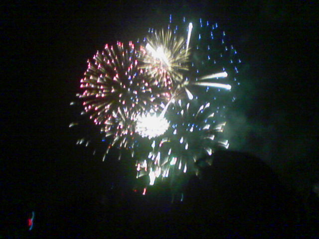 Fireworks explode in the night sky with red, white, and blue lights