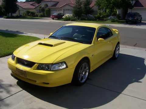 2002 Ford Mustang - Mirrors painted