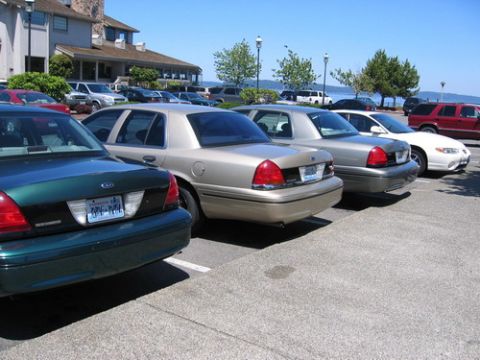 1999 Ford Crown Victoria - Multiple Ford Crown Victorias are parked in a lot on a sunny day, with a waterfront view in the background.
