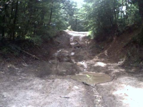 1996 Ford Bronco - A vehicle navigates a muddy, wooded trail with a large puddle.