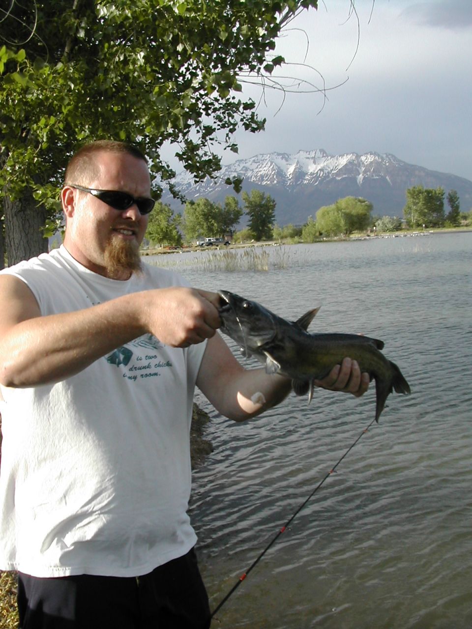 Bearded man in sunglasses holding a catfish at a lake with snowy mountains