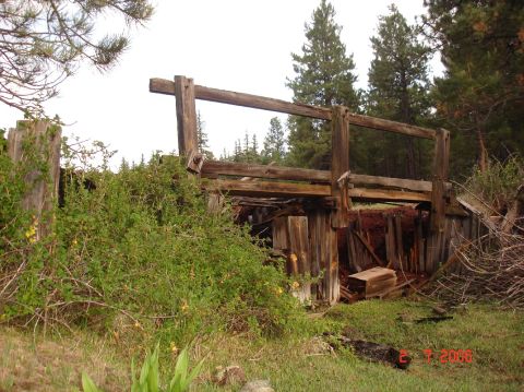 1984 Ford Bronco - An old, decaying wooden structure stands amidst overgrown vegetation and trees, suggesting a forgotten place.