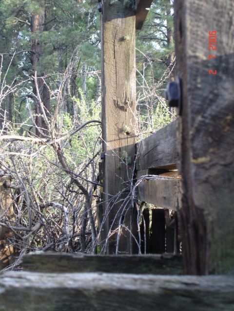 1984 Ford Bronco - A rustic wooden fence with barbed wire runs through a dense forest, obscuring any potential vehicles.
