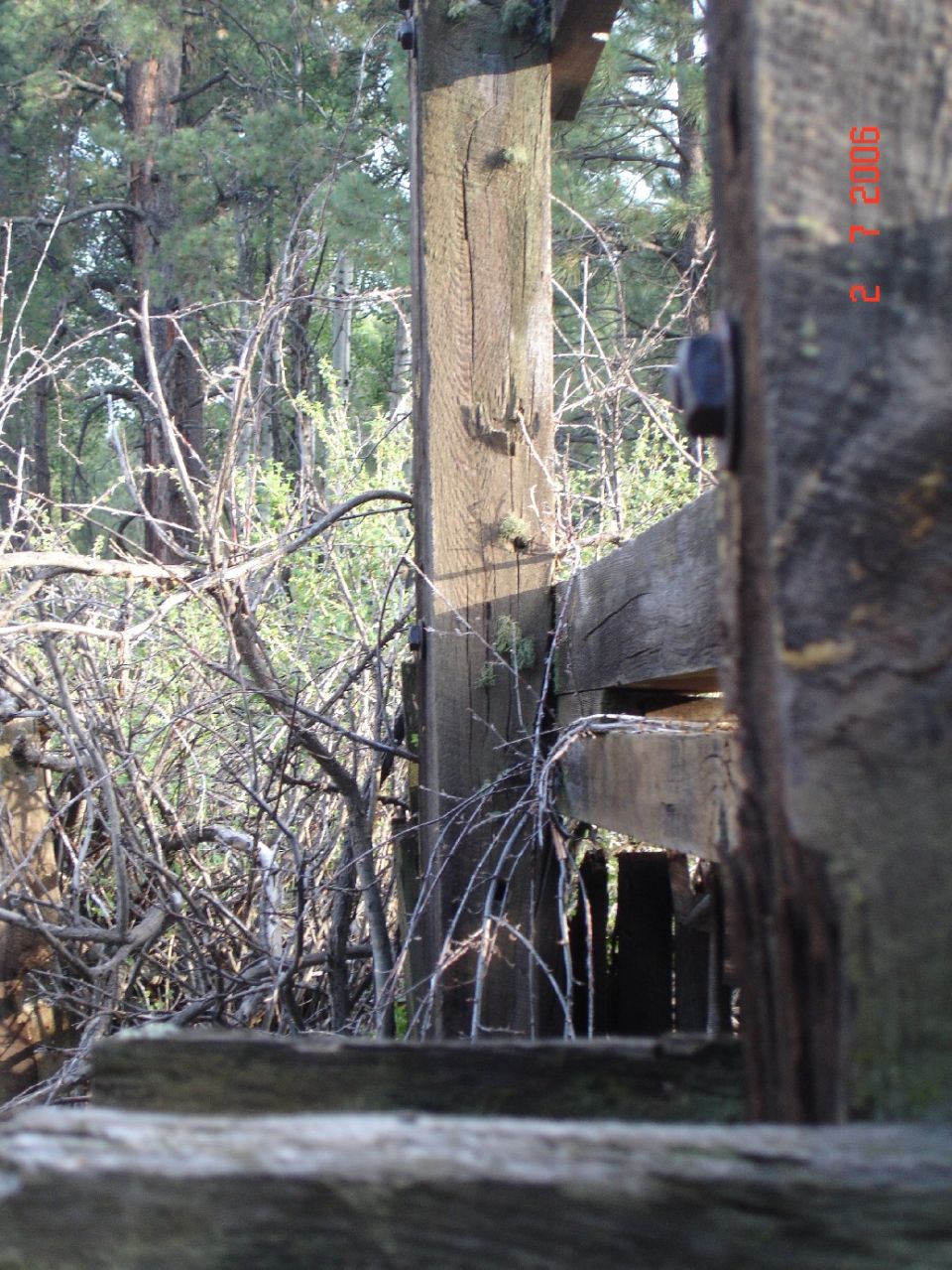 Wooden fence posts and barbed wire in a wooded area with a timestamp in the upper right corner