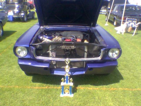 1965 Ford Mustang - A purple 1965 Ford Mustang coupe is displayed with its hood open and a trophy placed before it on a grassy field.