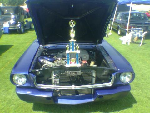 1965 Ford Mustang - A 1965 Ford Mustang is displayed with its hood open, a trophy in the engine bay.