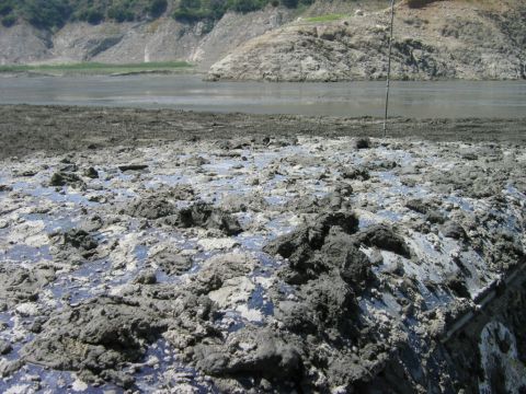 1985 Ford Bronco - The vehicle's roof is heavily caked with mud, obscuring its details against a backdrop of a lake and barren hills.
