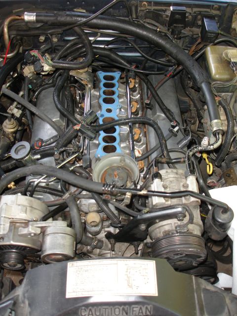 1989 Lincoln Continental - Engine bay with exposed intake manifold gasket and various hoses and wires.