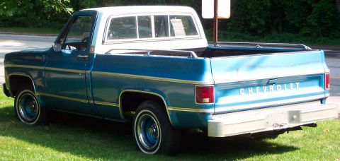 1979 Ford F-150 - This Chevrolet pickup truck has a two-tone blue and white paint scheme with chrome trim.