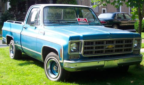 1979 Ford F-150 - This blue pickup truck has a 'For Sale' sign on the windshield and is parked on a grassy lawn.