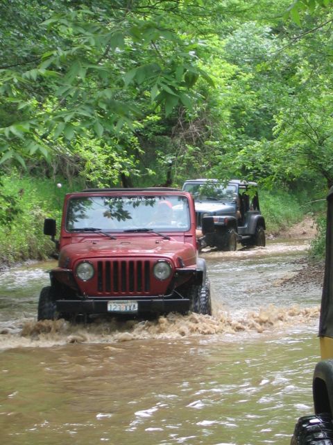 1998 Jeep TJ - Two Jeeps navigate a muddy creek bed surrounded by lush green trees.