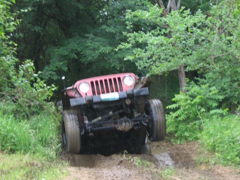 1998 Jeep TJ - A red 1998 Jeep TJ tackles a challenging muddy trail surrounded by lush green foliage.