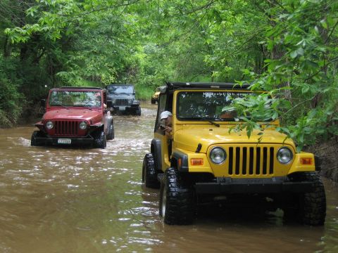 1998 Jeep TJ - Multiple Jeeps navigate a muddy stream surrounded by lush green trees.