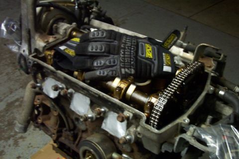 1995 Ford Taurus - Mechanic gloves rest on an engine's internal components, showing the camshaft and timing chain during a refresh or swap.