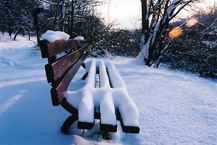 1993 Ford Taurus - Just a park bench.