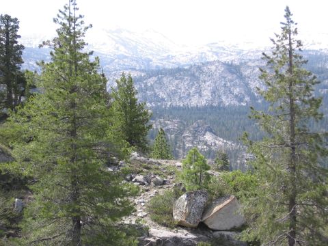1994 Ford Bronco - A scenic view of a mountainous region with evergreen trees and rocky outcrops.