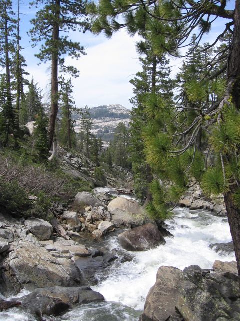 1994 Ford Bronco - A scenic view of a mountain stream surrounded by pine trees and rocky terrain.