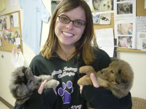1995 Ford Probe - Sarah with a couple of puppies we had up for adoption at the shelter.