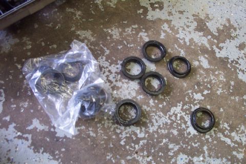 1995 Ford Taurus - Several engine seals are laid out on a concrete surface, some still in their plastic packaging.