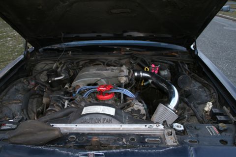 1989 Ford Crown Victoria LTD - Engine bay of a 1989 Ford Crown Victoria, showing the V8 engine with modifications.