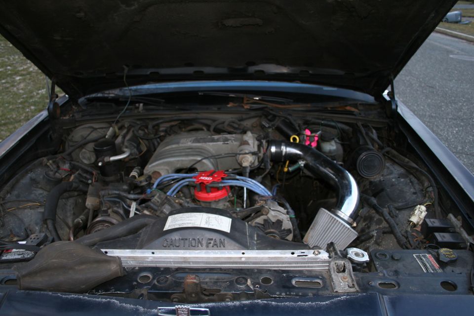 1989 Ford Crown Victoria engine bay with aftermarket air intake and red distributor cap