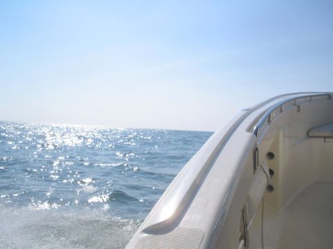 1979 Ford F-250 - A view from a boat moving through the water under a clear blue sky.