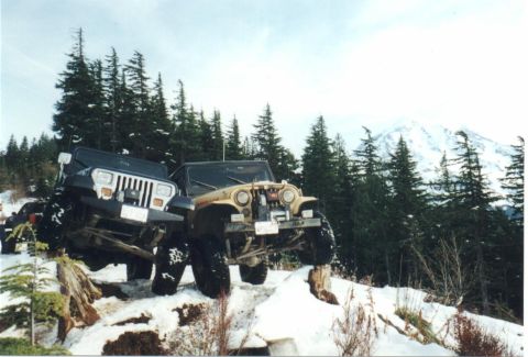 1982 Ford Customline - Rawk Rash industries jeep posing next to my CJ.