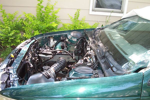 Green car's engine bay with hoses and parts visible. Some green bushes are behind it